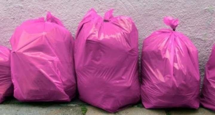 Розовый мешок на острове. Розовые мусорные пакеты. Розовый мешок. Мусорный пакет с лепестками.